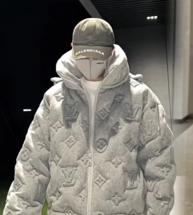 Louis Vuitton Down Jackets